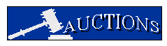 Auctions